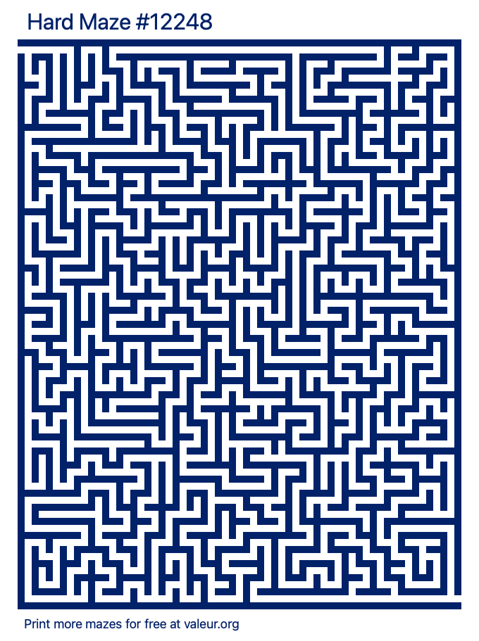 Free Printable Hard Maze number 12248