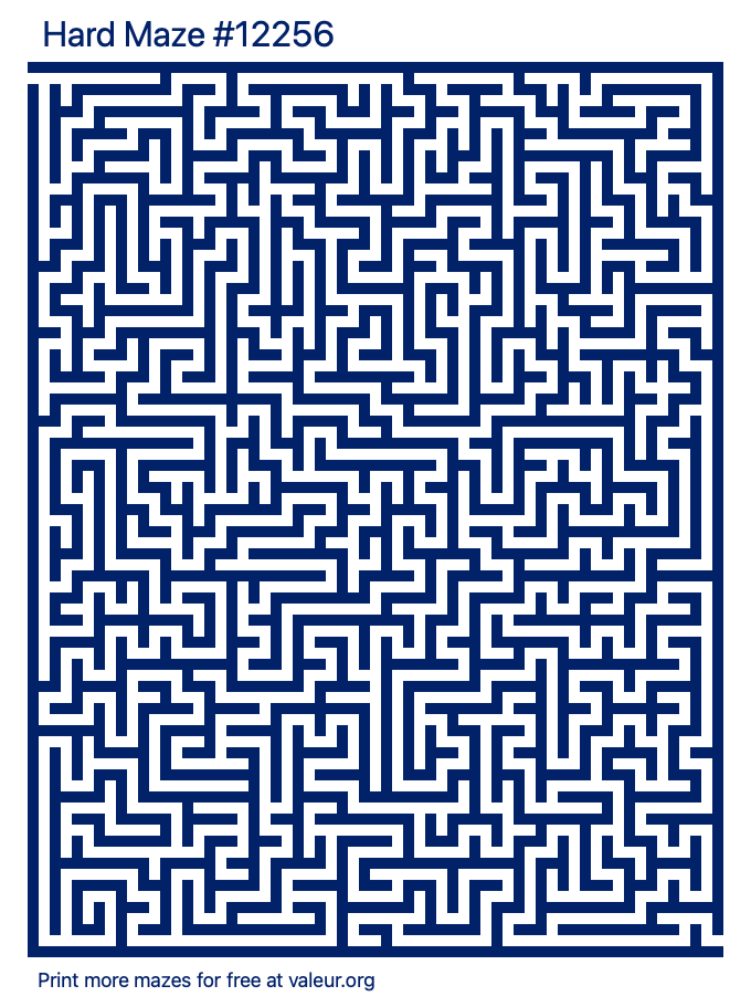 Free Printable Hard Maze number 12256
