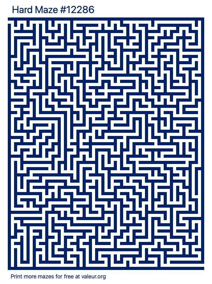 Free Printable Hard Maze number 12286