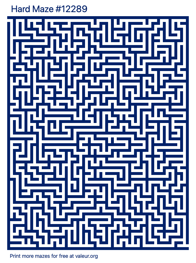 Free Printable Hard Maze number 12289