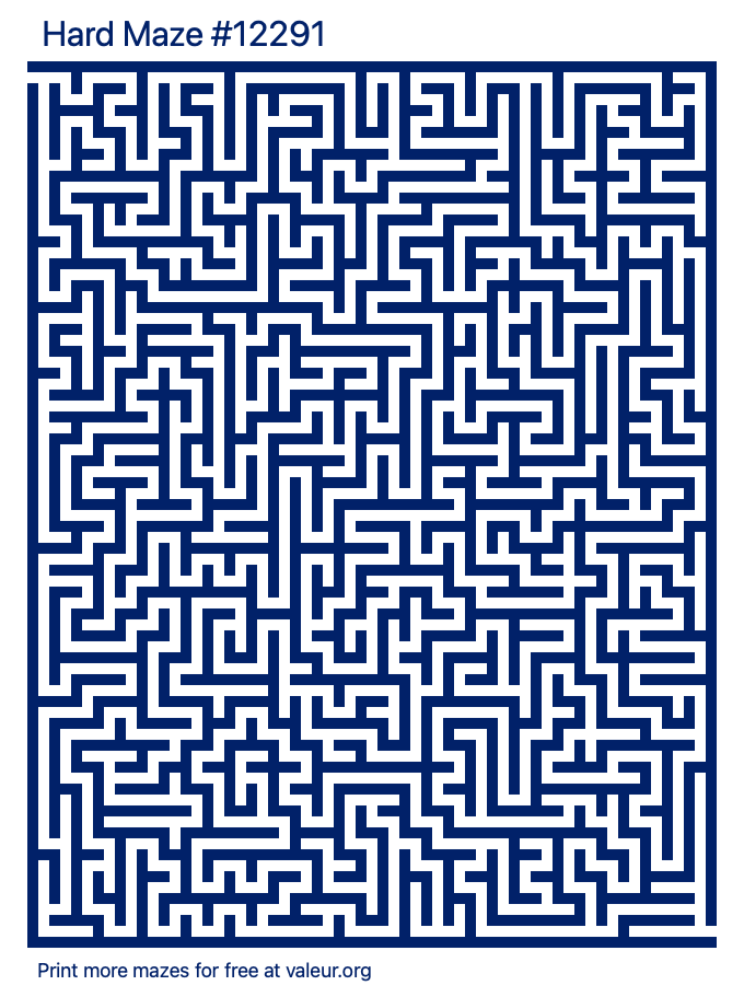 Free Printable Hard Maze number 12291