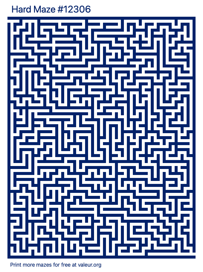 Free Printable Hard Maze number 12306