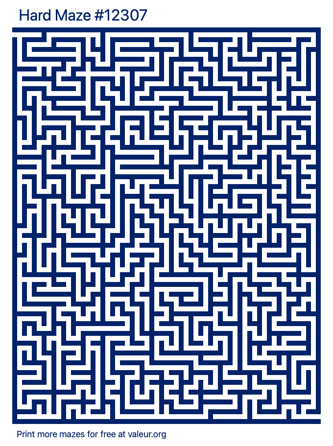 Free Printable Hard Maze number 12307