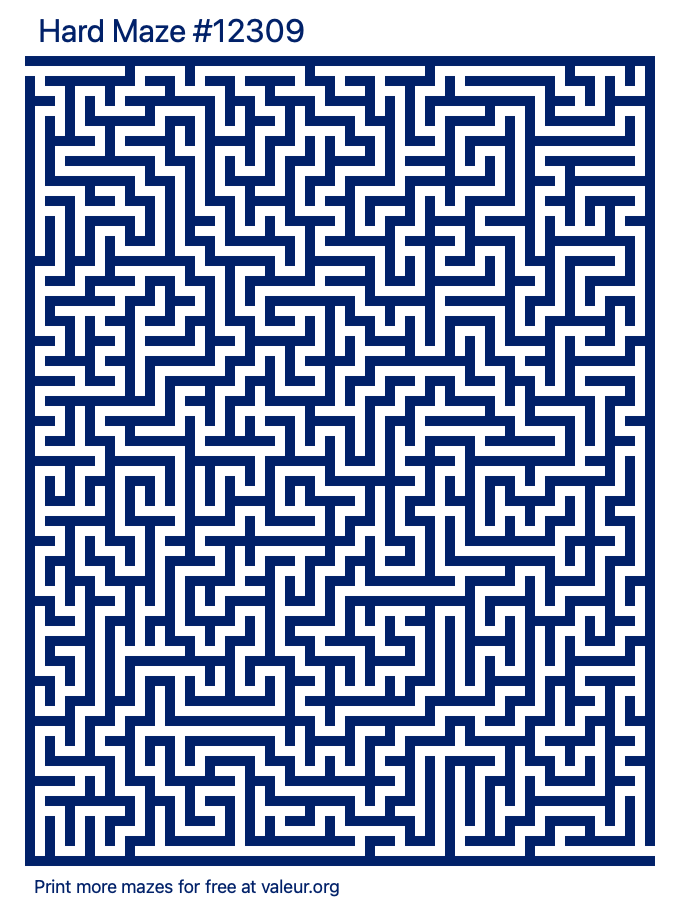 Free Printable Hard Maze number 12309