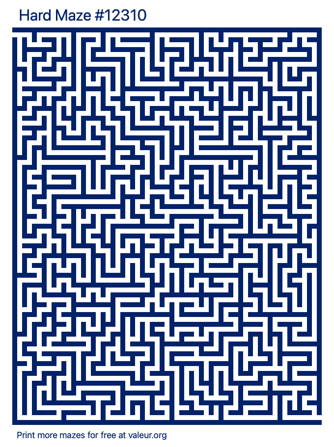 Free Printable Hard Maze number 12310