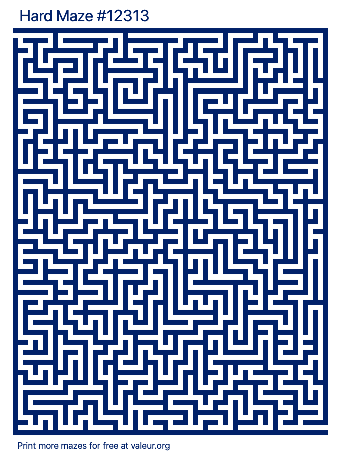 Free Printable Hard Maze number 12313