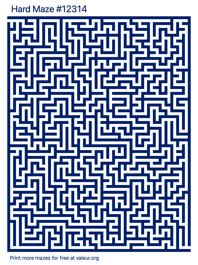 Free Printable Hard Maze number 12314