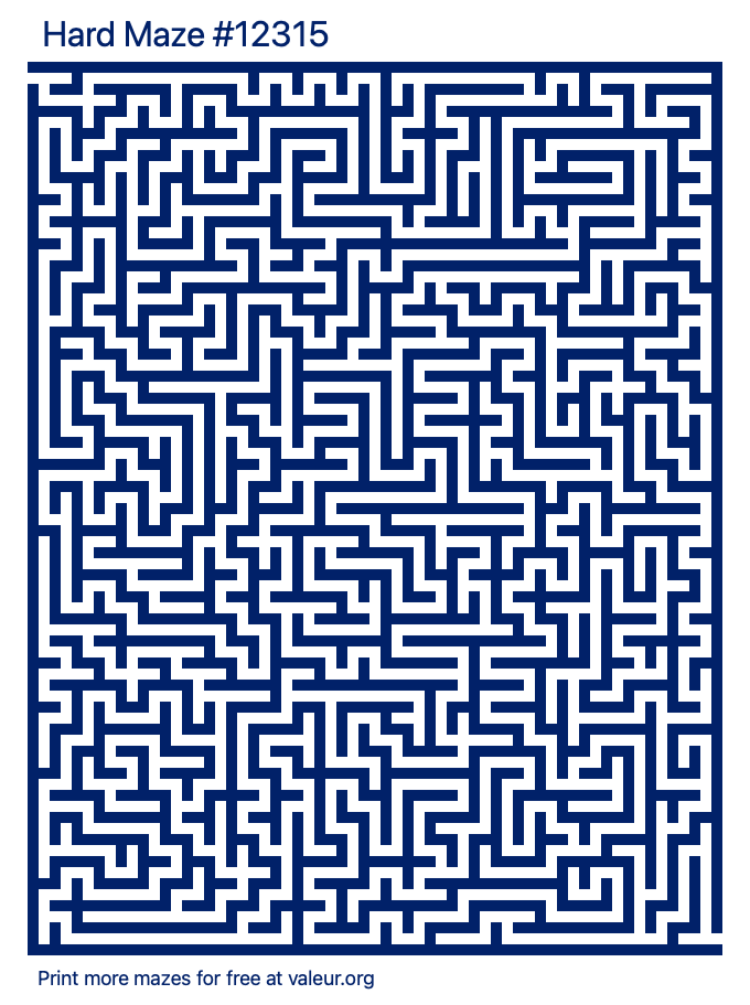 Free Printable Hard Maze number 12315