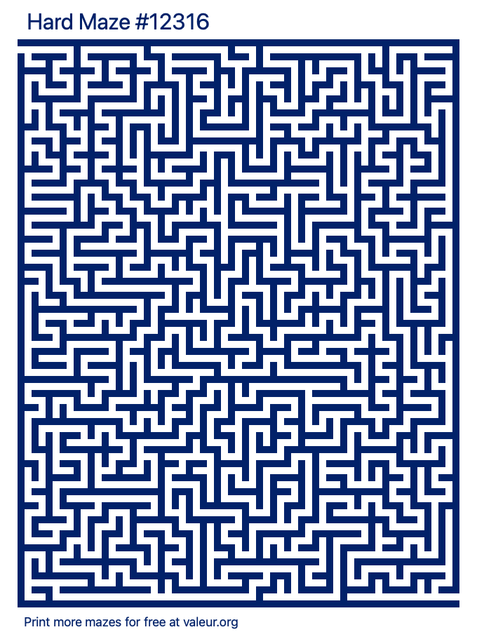 Free Printable Hard Maze number 12316
