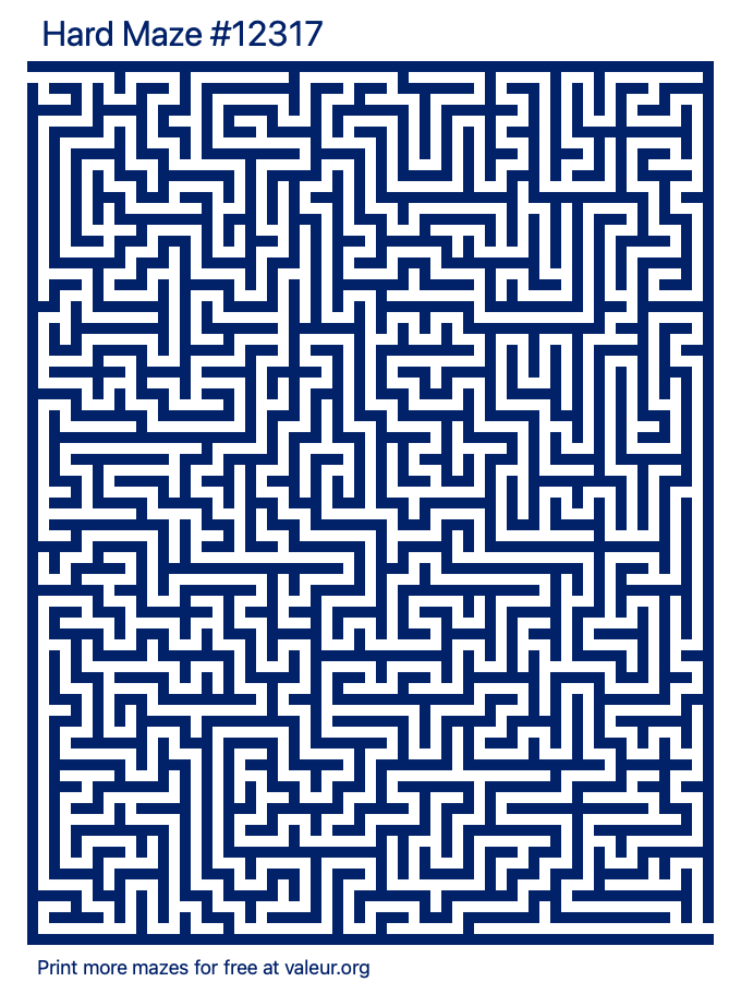 Free Printable Hard Maze number 12317