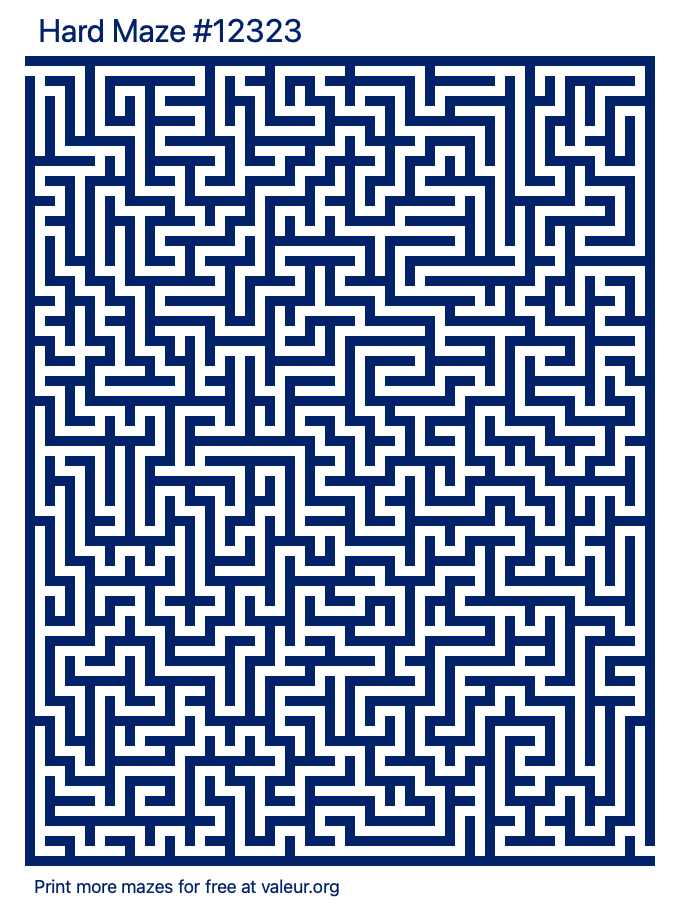 Free Printable Hard Maze number 12323