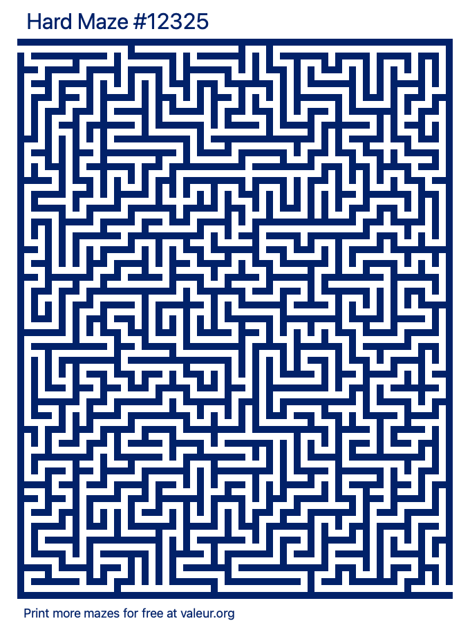 Free Printable Hard Maze number 12325