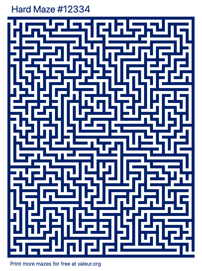 Free Printable Hard Maze number 12334