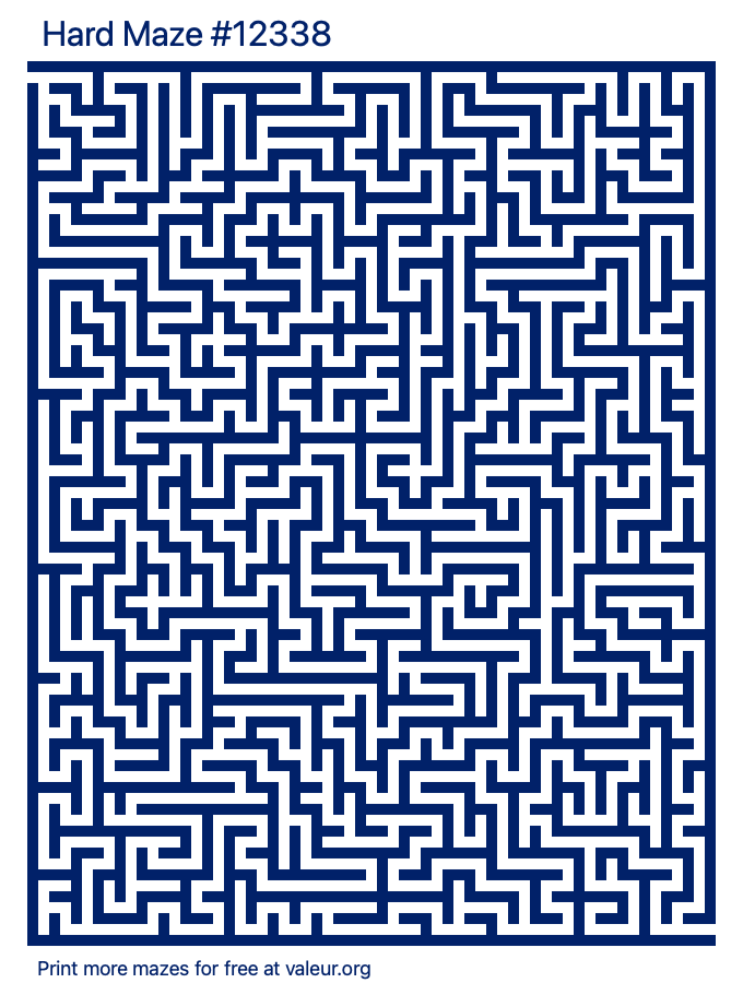 Free Printable Hard Maze number 12338