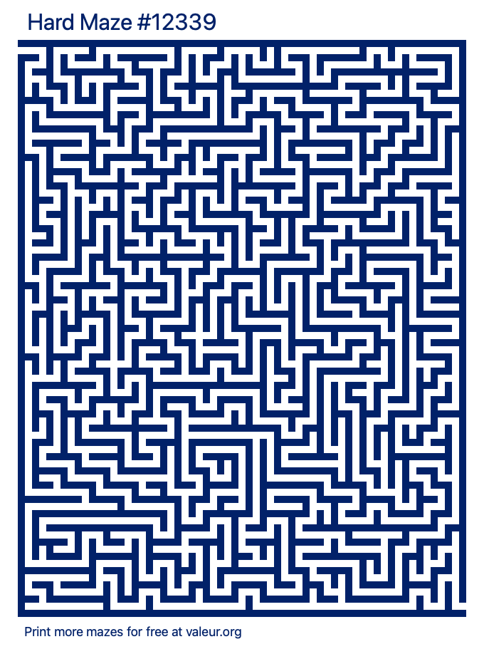 Free Printable Hard Maze number 12339