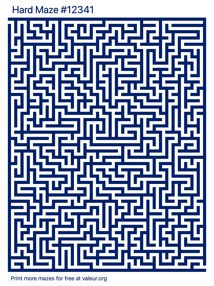 free printable hard maze with the answer 12341