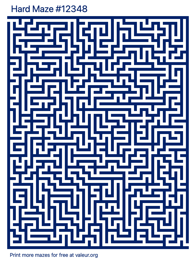 Free Printable Hard Maze number 12348