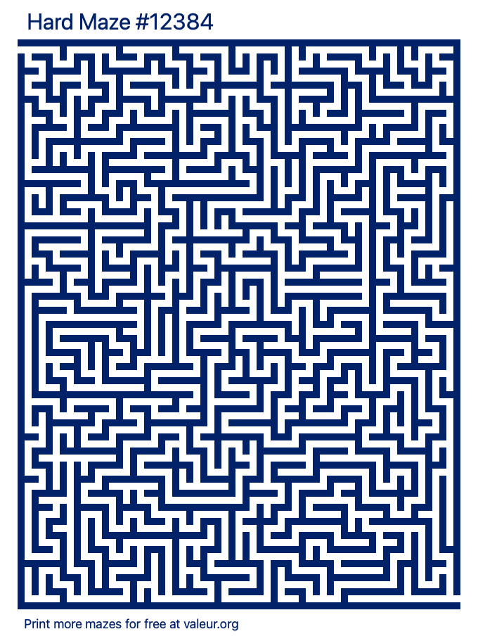 Free Printable Hard Maze number 12384