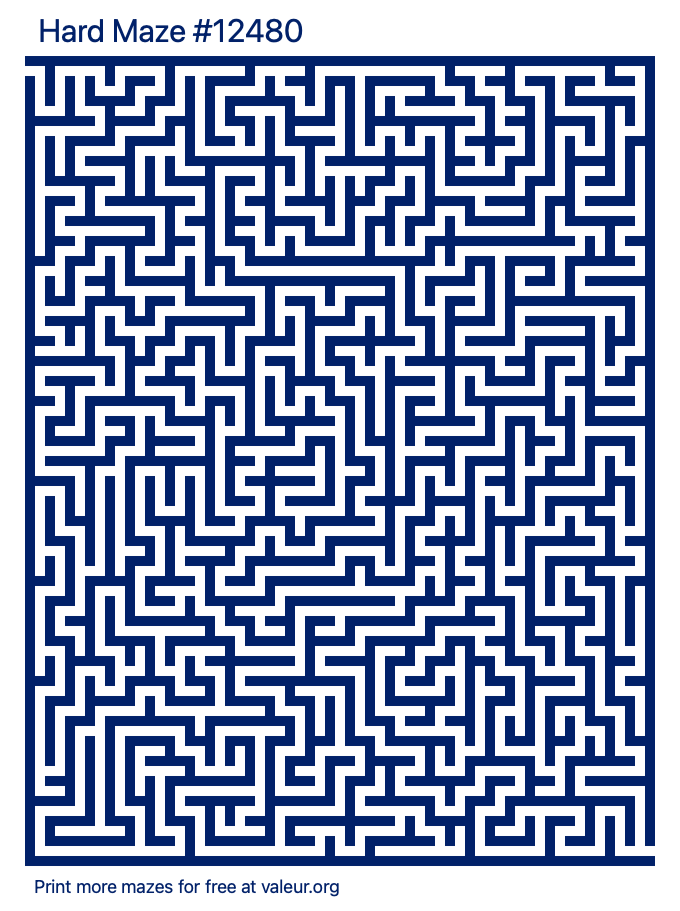 Free Printable Hard Maze number 12480