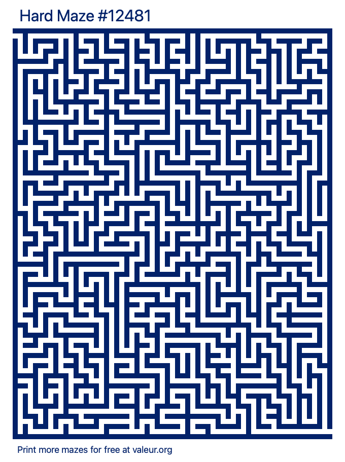 Free Printable Hard Maze number 12481