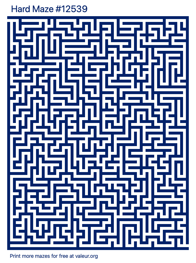 Free Printable Hard Maze number 12539