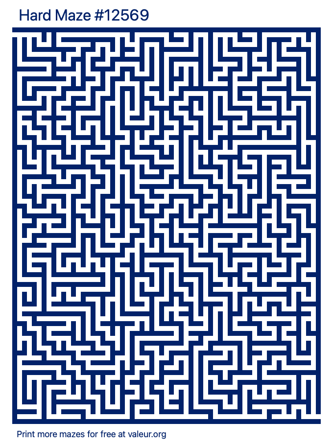 Free Printable Hard Maze number 12569