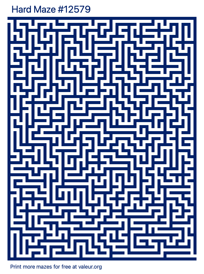 Free Printable Hard Maze number 12579