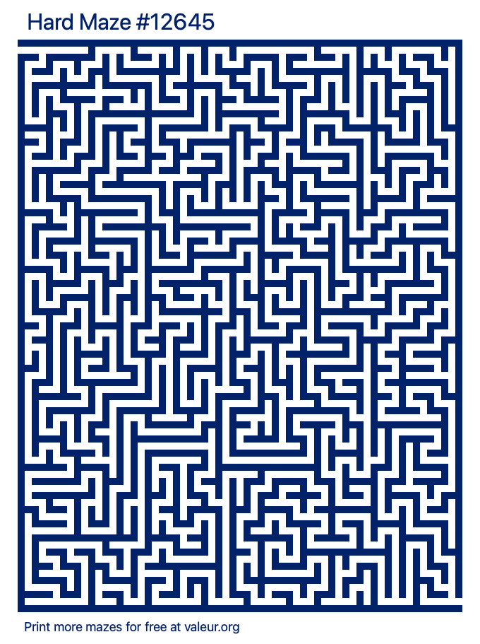 Free Printable Hard Maze number 12645