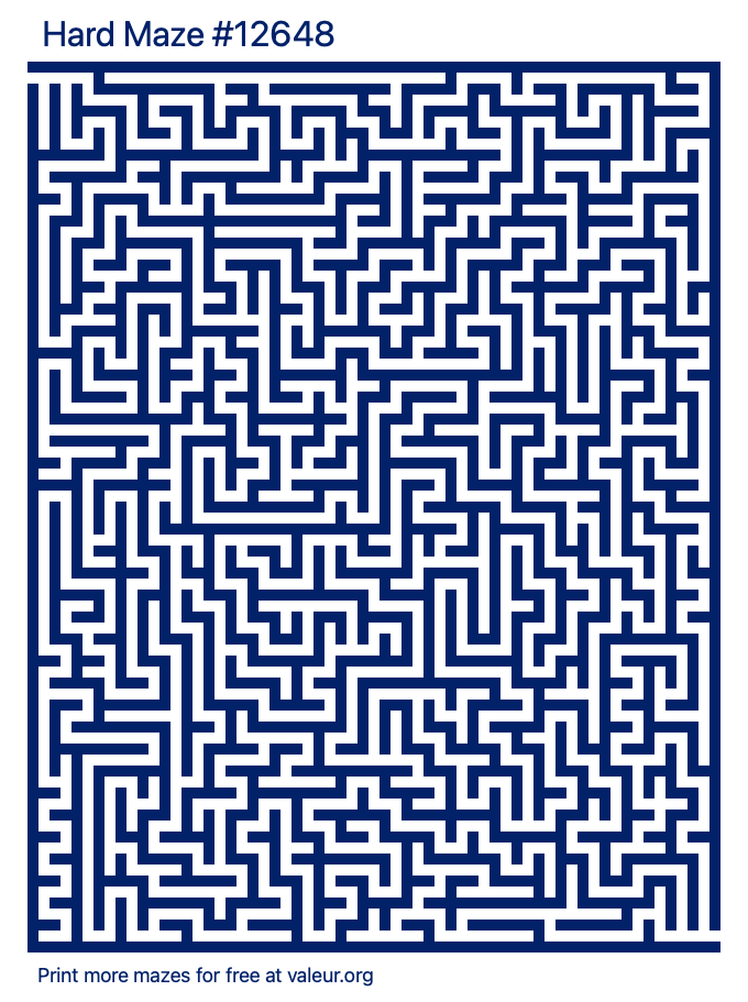 Free Printable Hard Maze number 12648