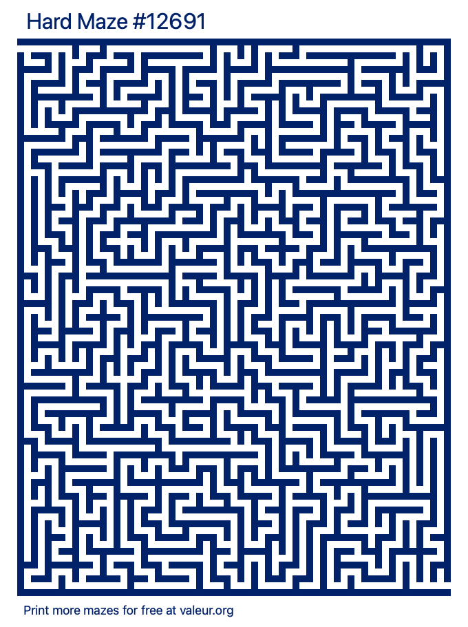 Free Printable Hard Maze number 12691