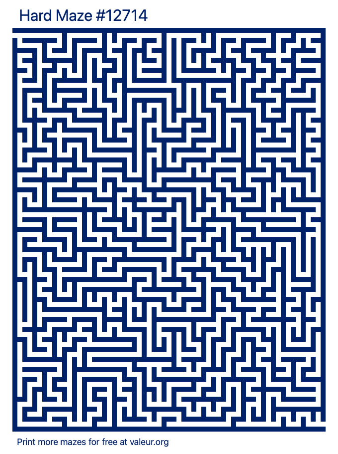 Free Printable Hard Maze number 12714