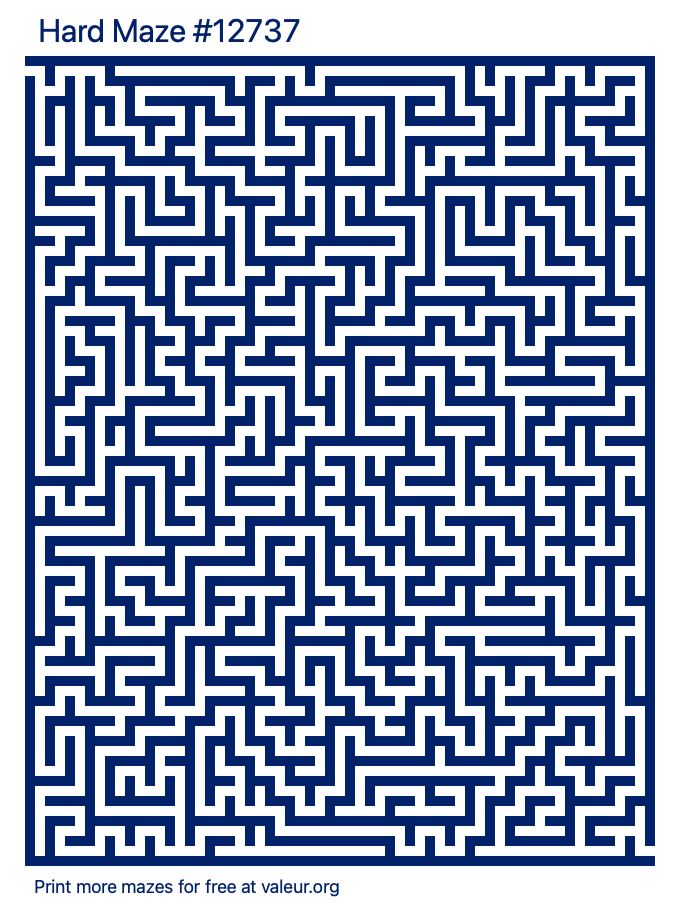 Free Printable Hard Maze number 12737