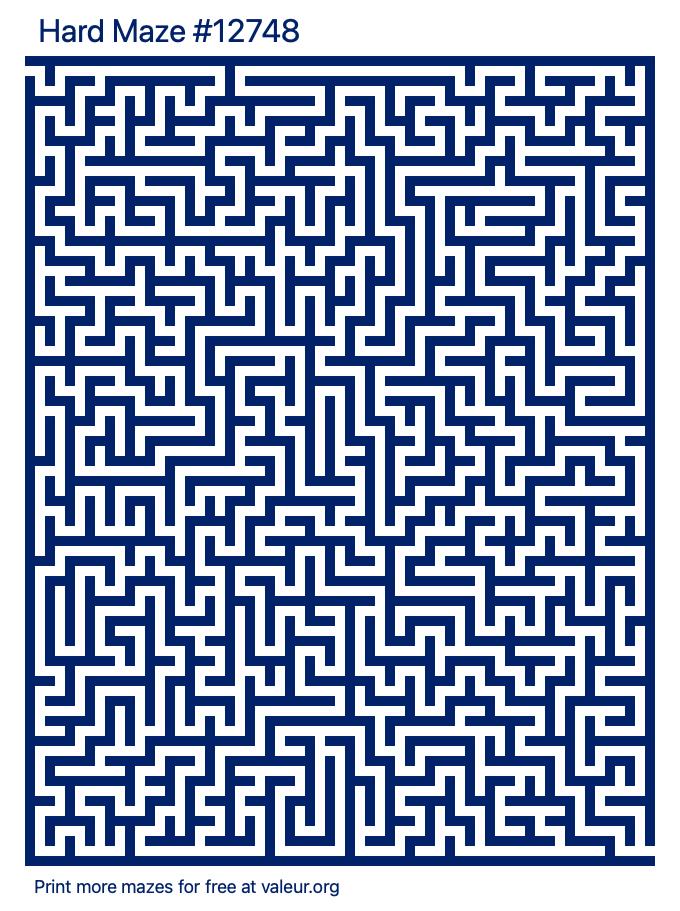 Free Printable Hard Maze number 12748