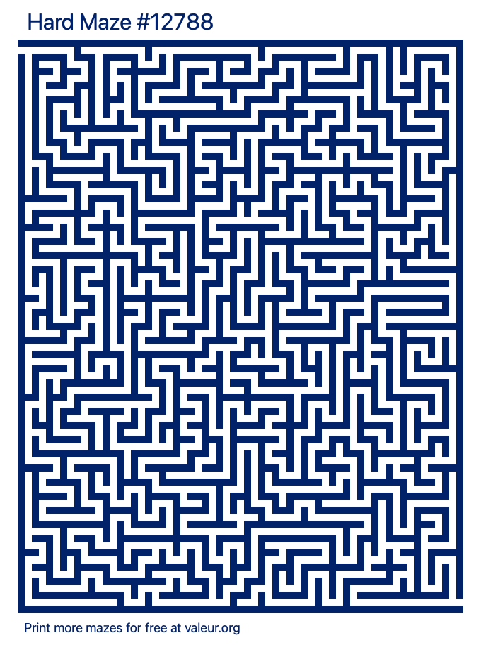 Free Printable Hard Maze number 12788