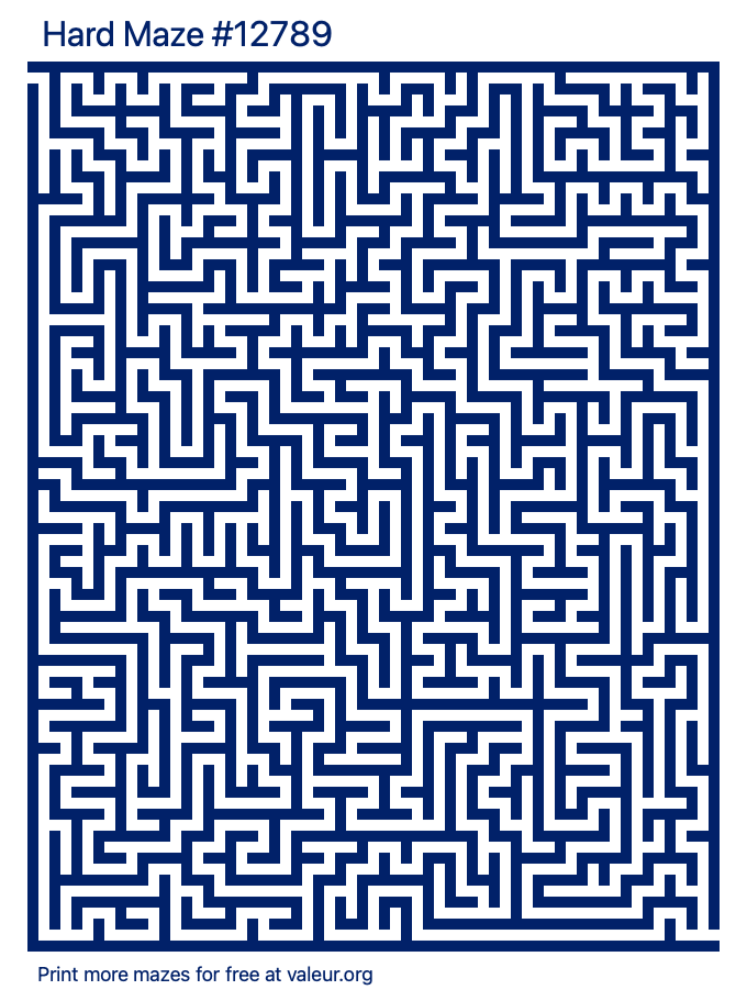 Free Printable Hard Maze number 12789
