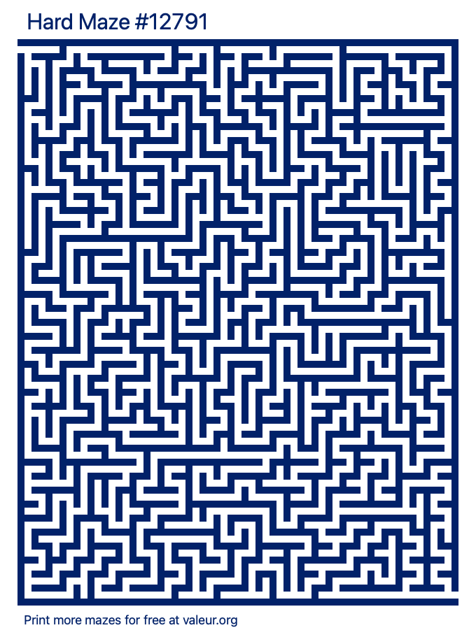 Free Printable Hard Maze number 12791