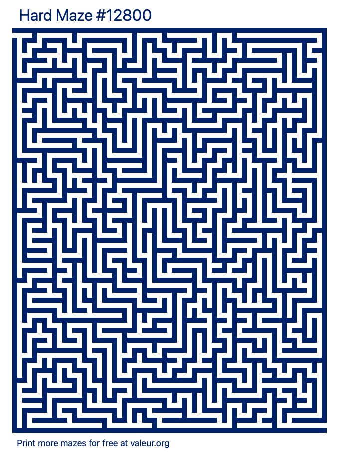 Free Printable Hard Maze number 12800