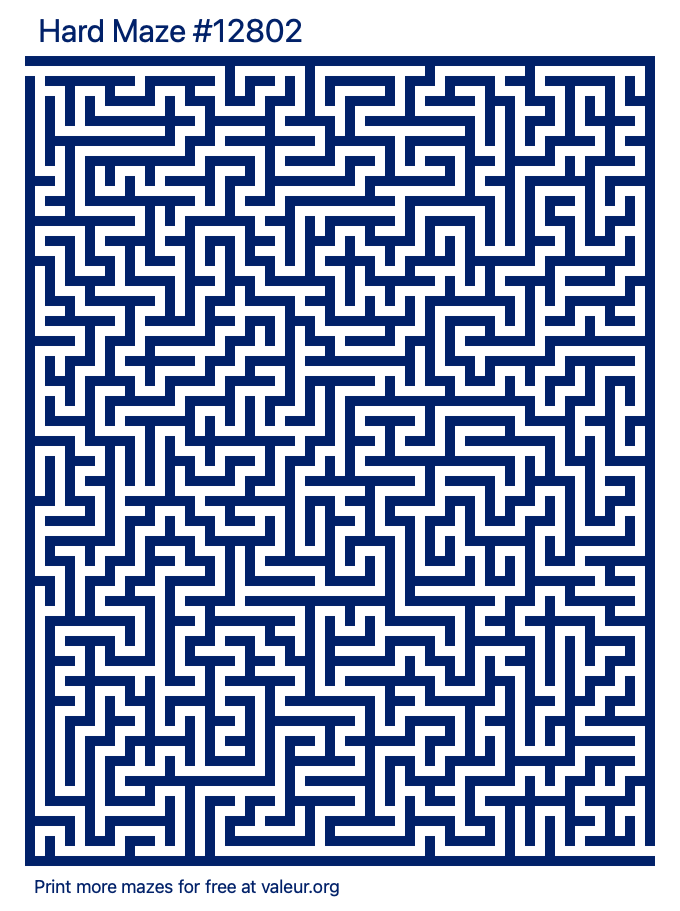 Free Printable Hard Maze number 12802