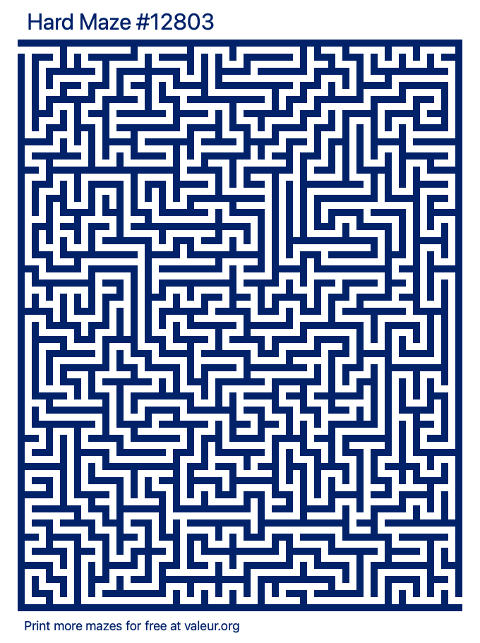 Free Printable Hard Maze number 12803