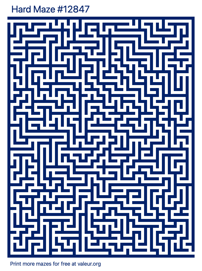 Free Printable Hard Maze number 12847
