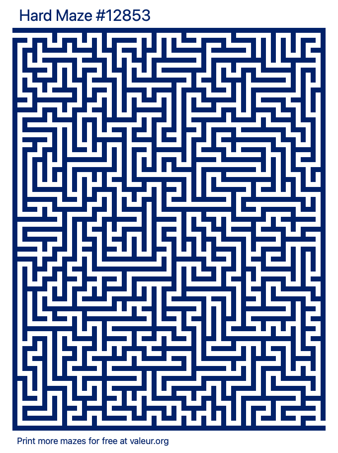 Free Printable Hard Maze number 12853