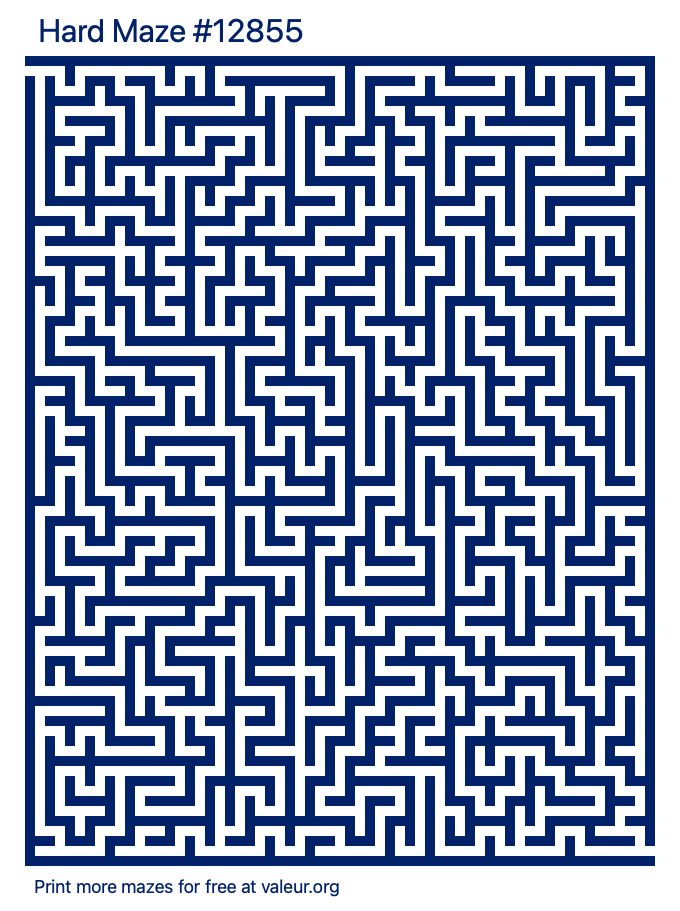 Free Printable Hard Maze number 12855
