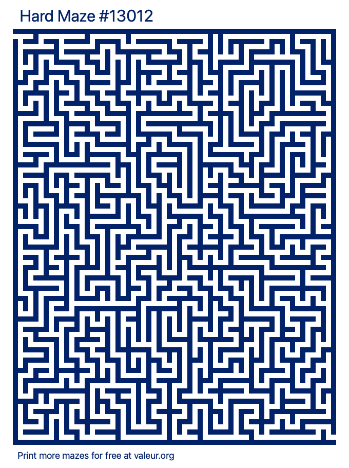 Free Printable Hard Maze number 13012