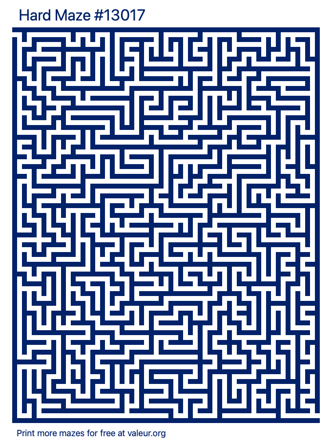 Free Printable Hard Maze number 13017