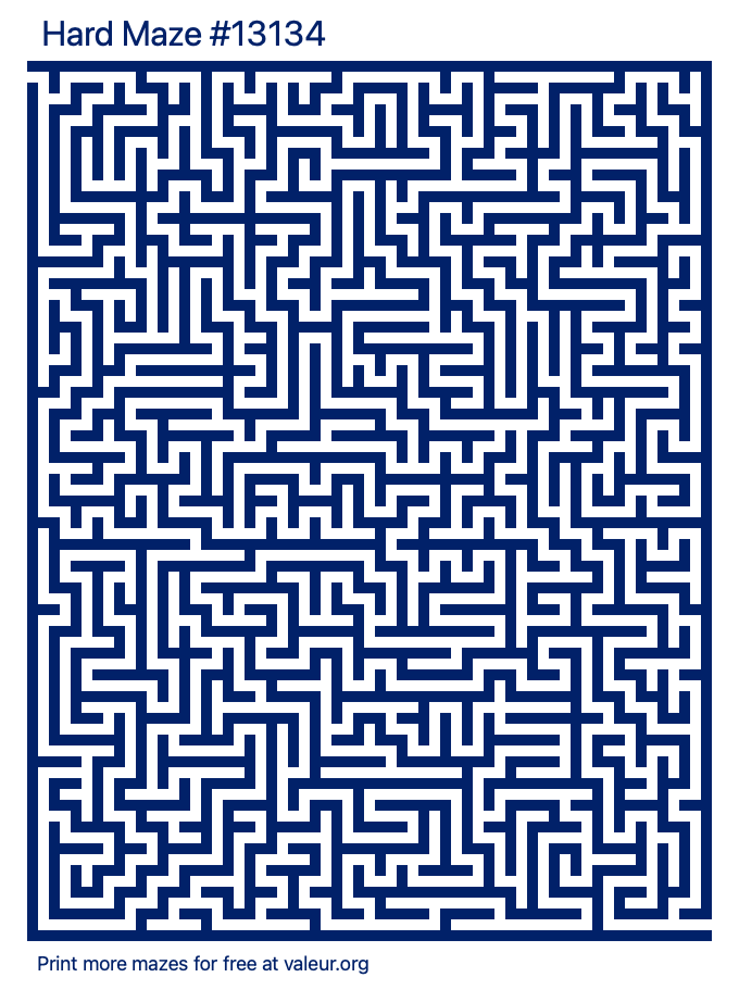Free Printable Hard Maze number 13134