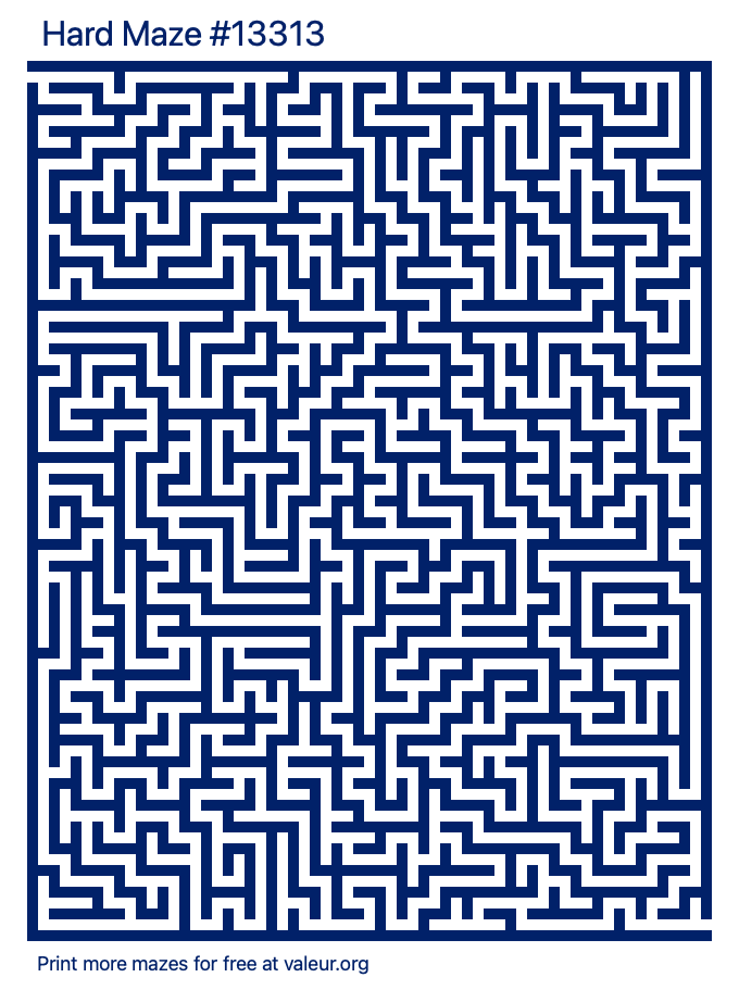 Free Printable Hard Maze number 13313