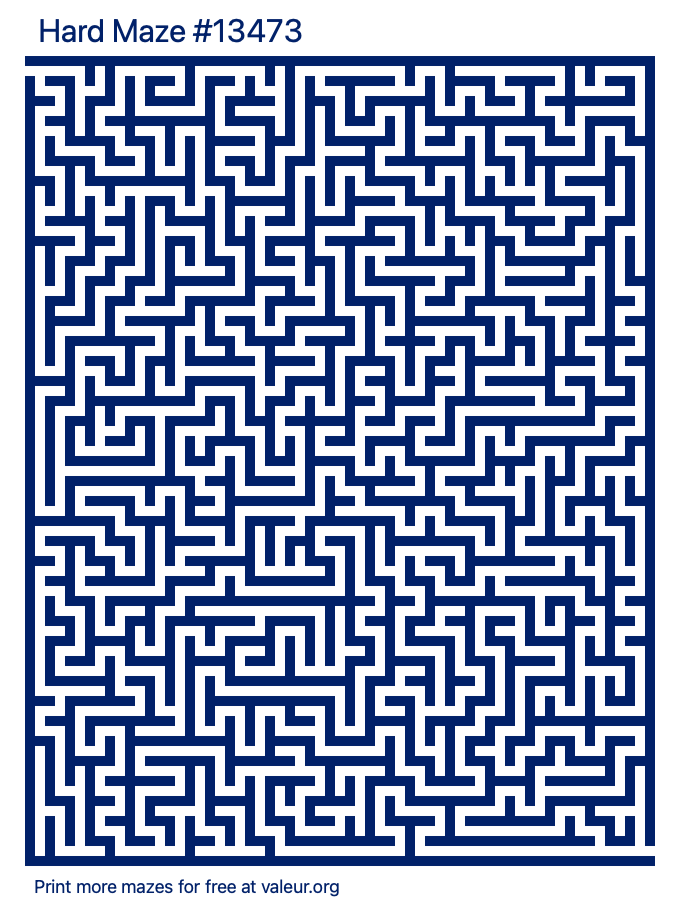 Free Printable Hard Maze number 13473