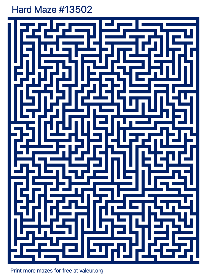 Free Printable Hard Maze number 13502