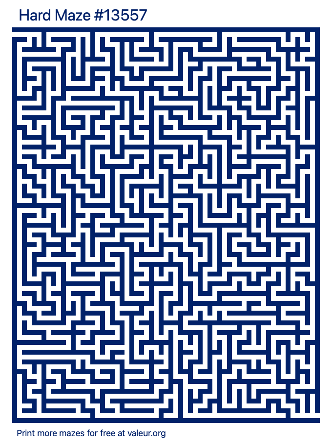 Free Printable Hard Maze number 13557