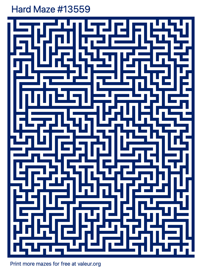 Free Printable Hard Maze number 13559